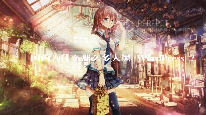 国内为什么那么多人黑 WordPress ？
