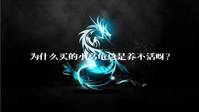 为什么买的小乌龟总是养不活呀？