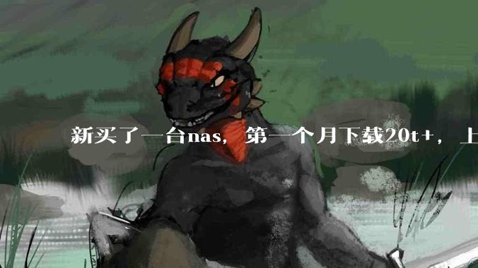 新买了一台nas，第一个月下载20t+，上传5+，不会被网警盯上吧?