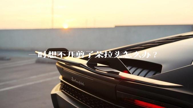 一时想不开剪了朵拉头怎么办?