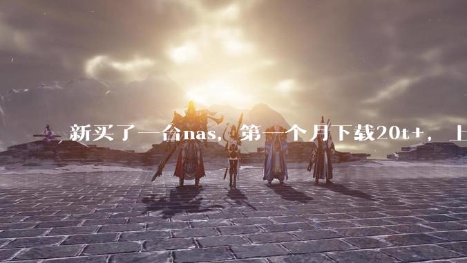 新买了一台nas，第一个月下载20t+，上传5+，不会被网警盯上吧?