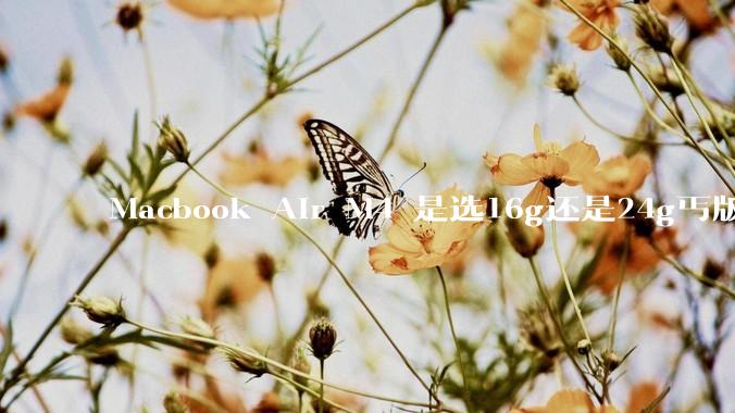 Macbook Air M4 是选16g还是24g丐版?