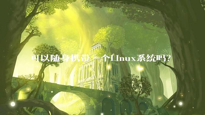 可以随身携带一个Linux系统吗？